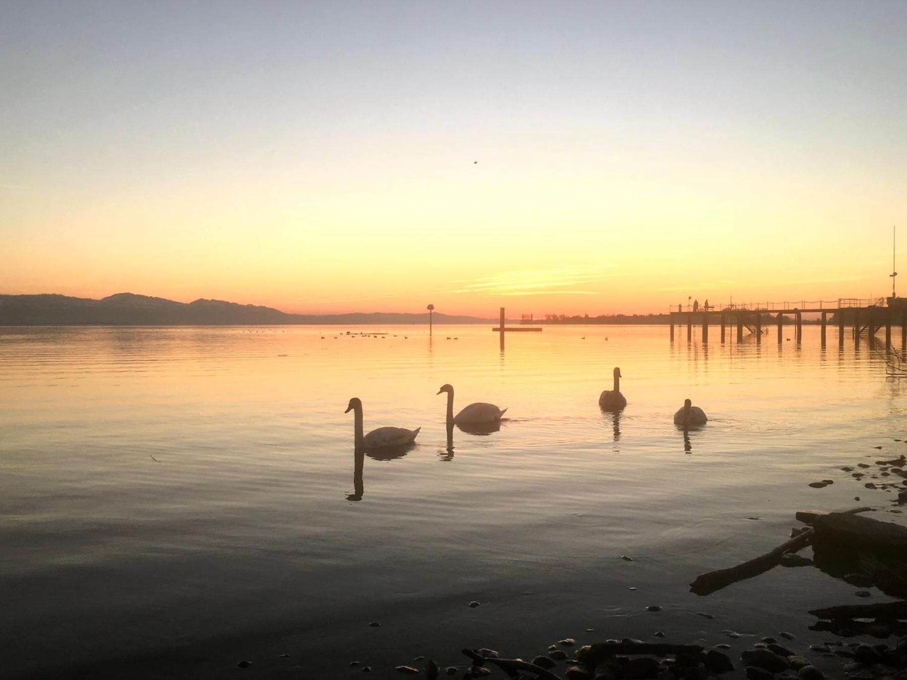 Ferienwohnung Riva - Wohlfuehloase In Ruhiger Lage Lindau  Luaran gambar